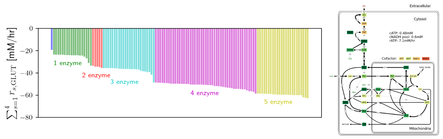 Pathway optimization